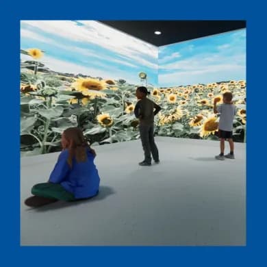Immersive Room Sessions