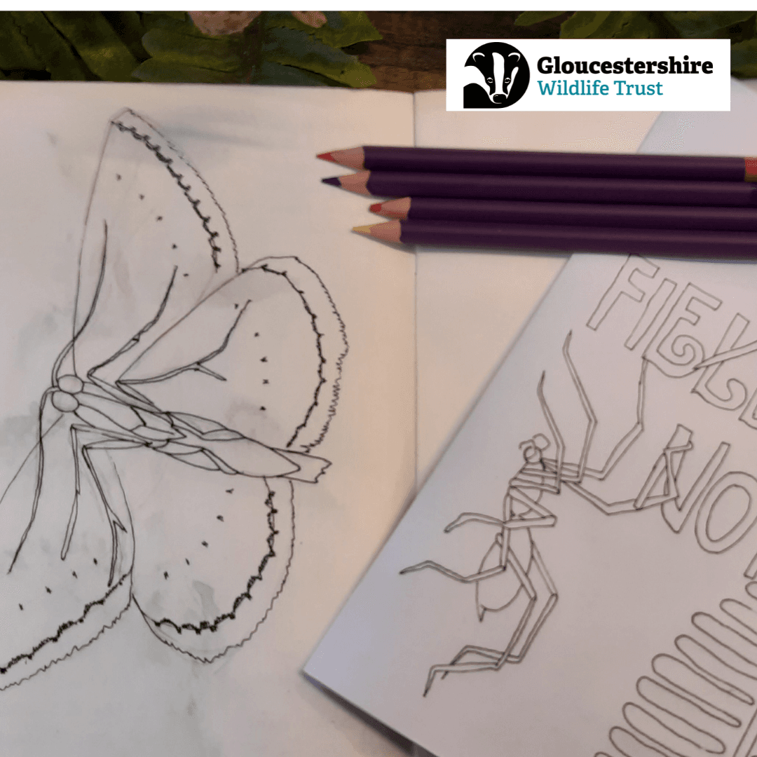 Nature Journal Workshop (Over 16s)