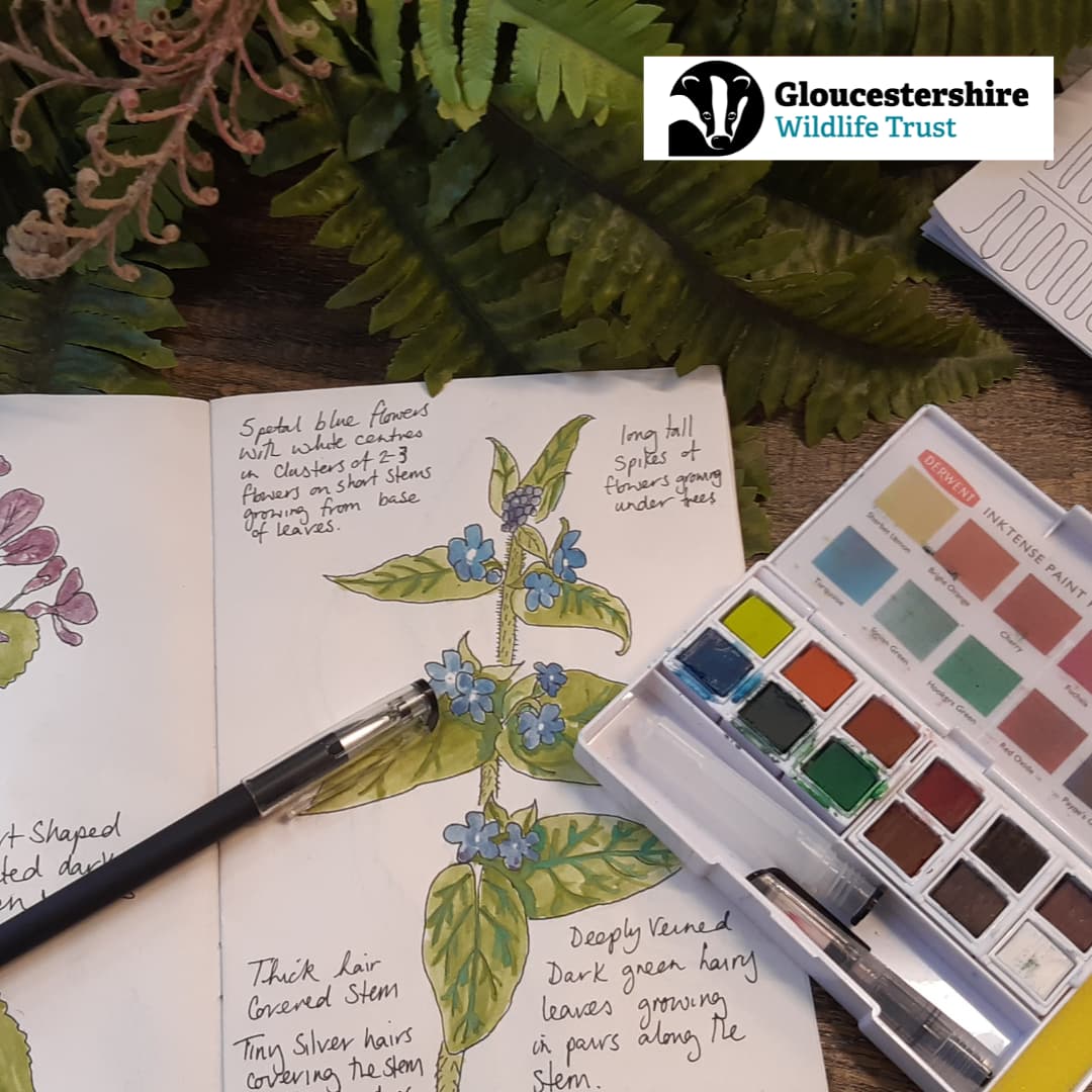 Nature Journal Workshop (U16)