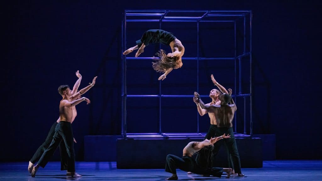 Motionhouse: Four